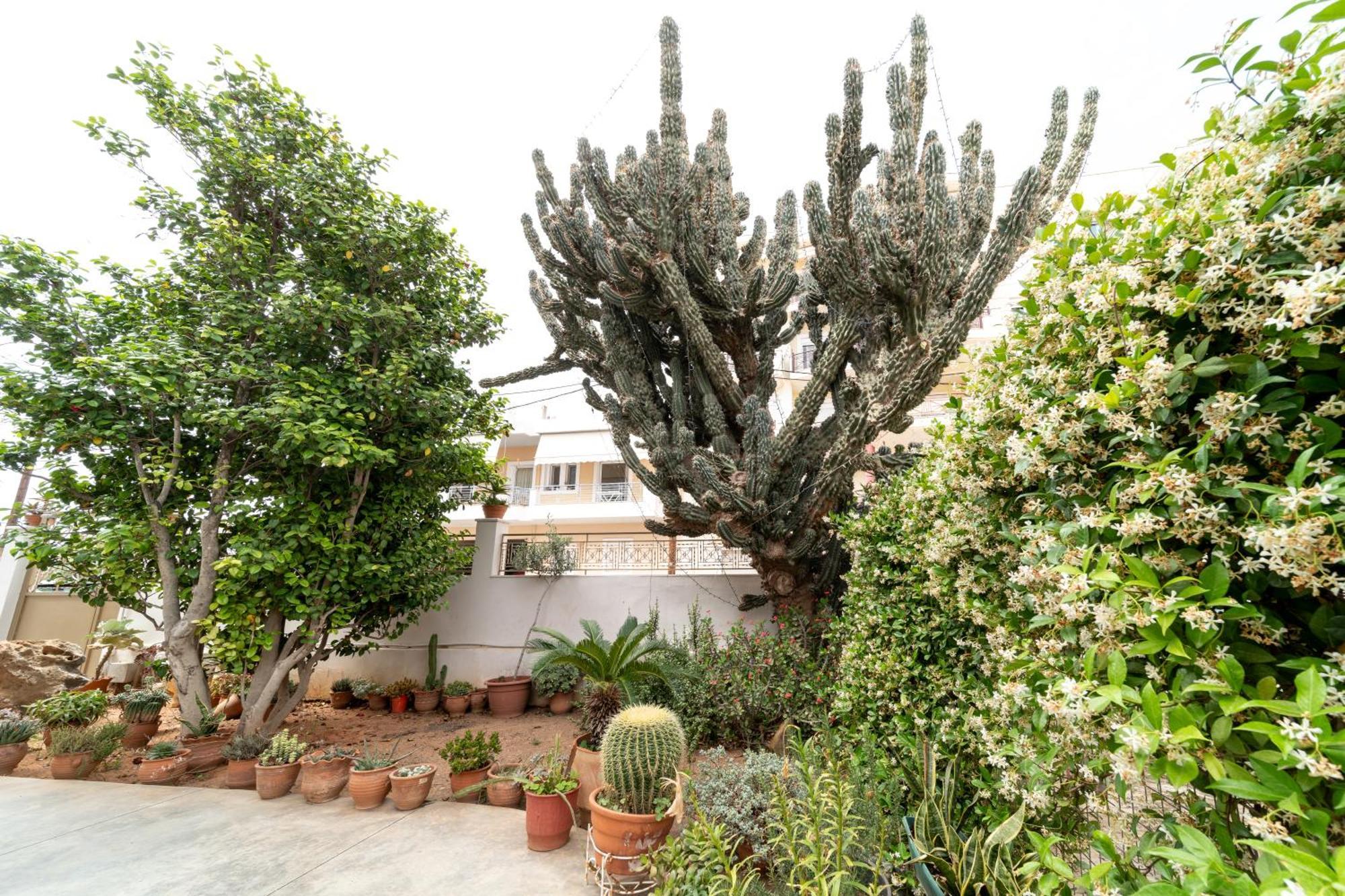 Cactus - Blooming Garden Apartments Каламата Екстер'єр фото